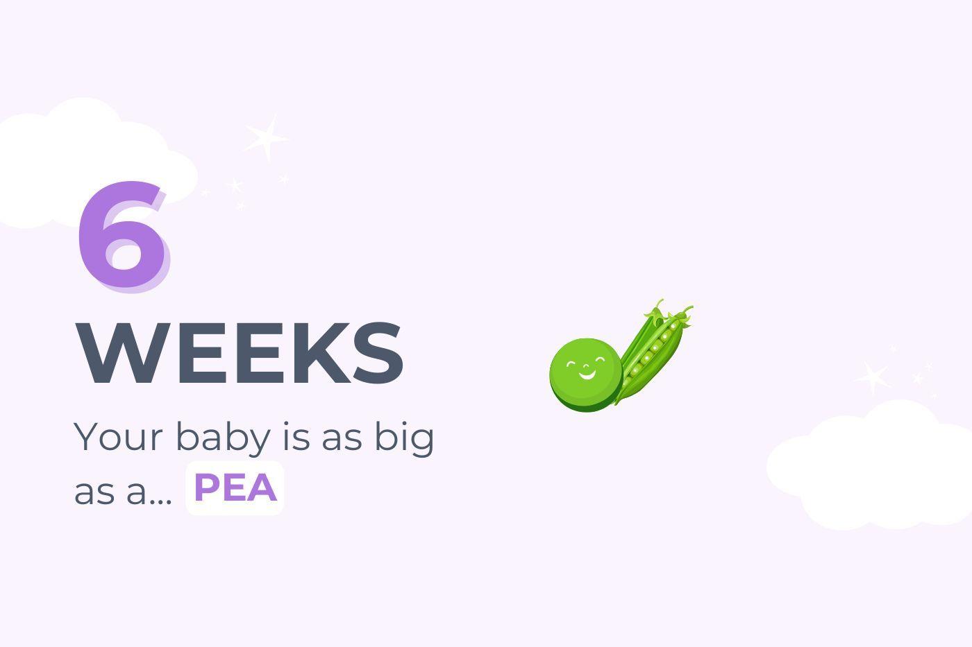 6-weeks-pregnant-your-baby-is-as-big-as-a-pea