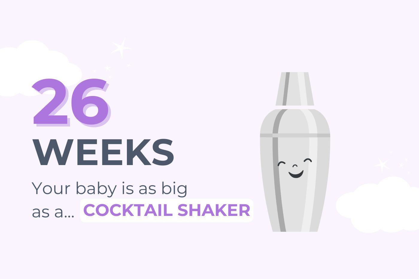26-weeks-pregnant-your-baby-is-as-big-as-a-cocktail-shaker