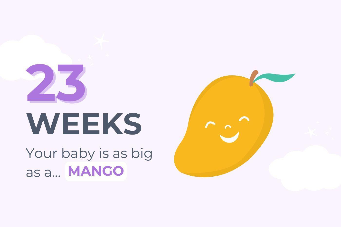 23-weeks-pregnant-your-baby-is-as-big-as-a-mango